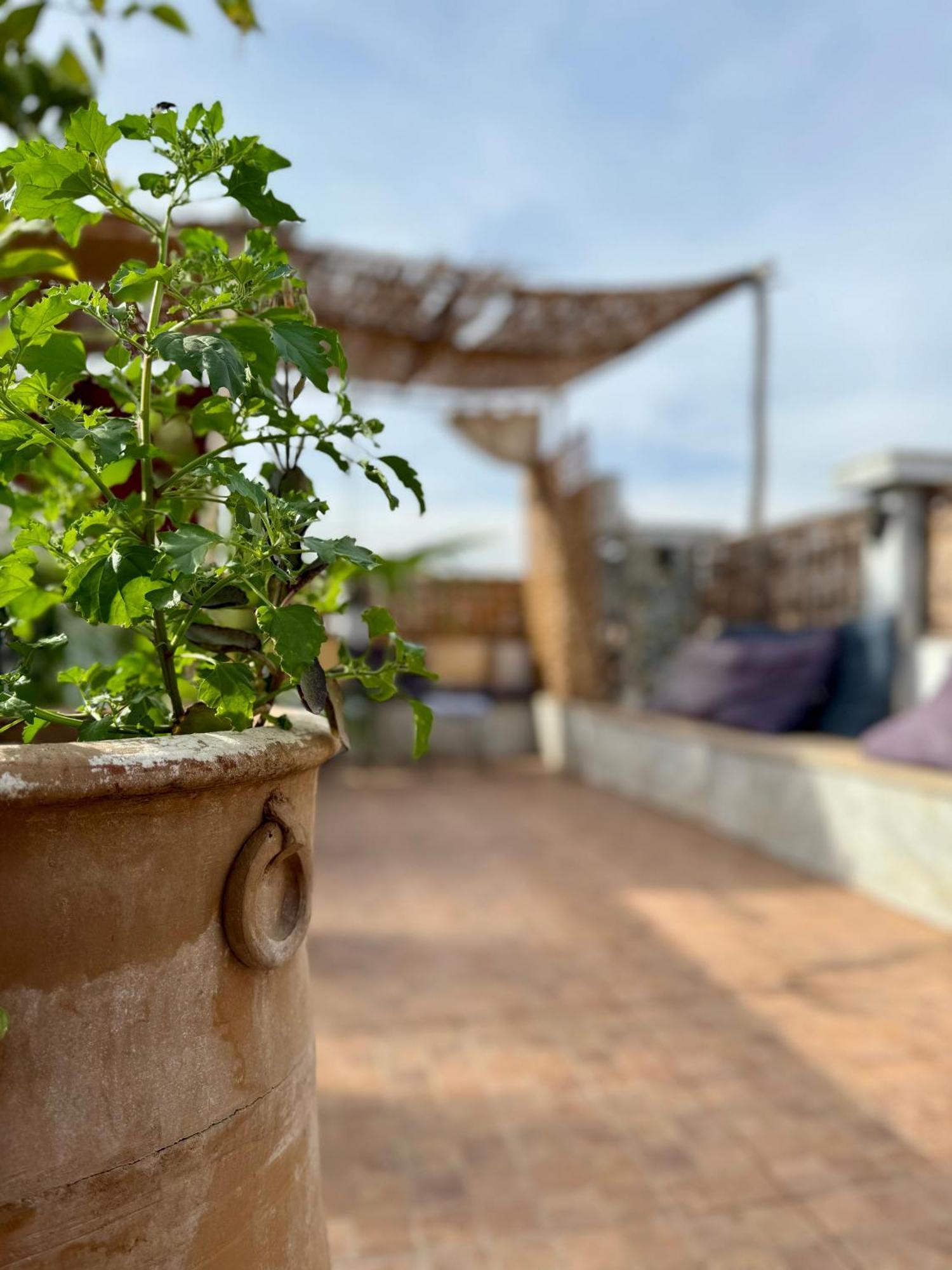 Riad Flottement Des Songes Marrakesh Bagian luar foto